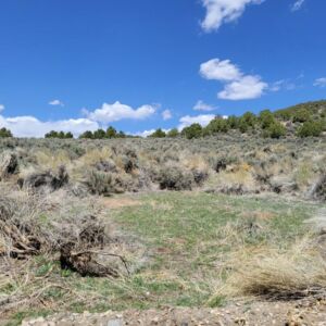 5.5 acres in Ft Garland, Colorado (Costilla County) - APN 70224790 (photo 3)